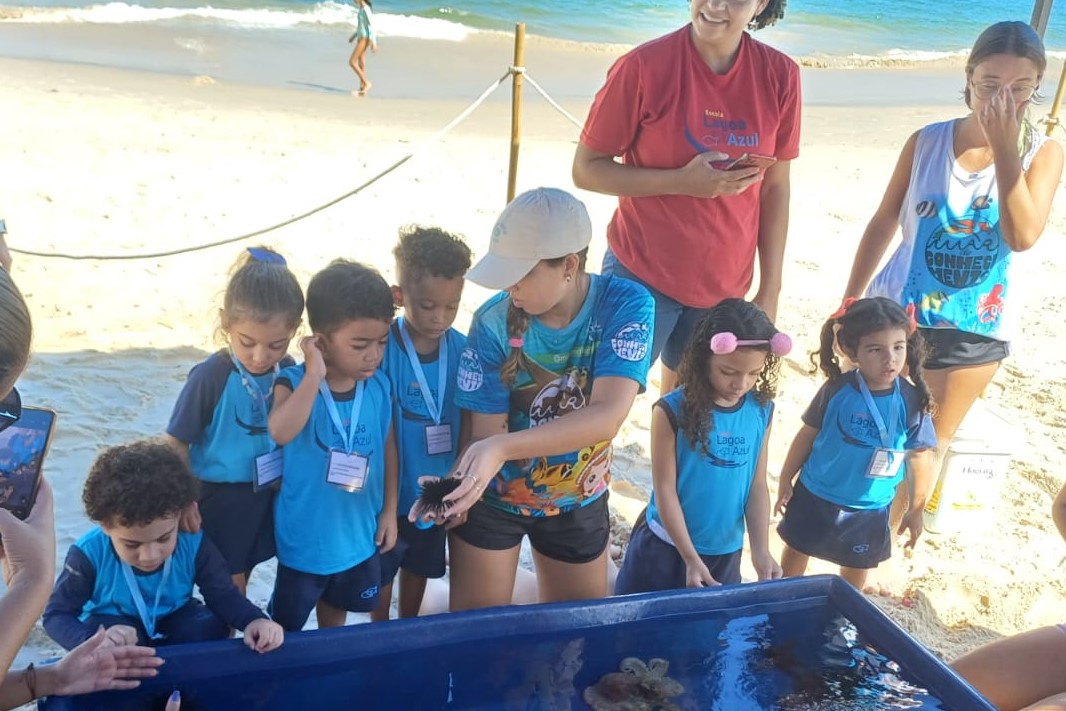 whatsapp image 2025 03 31 at 09.01.54 (2)